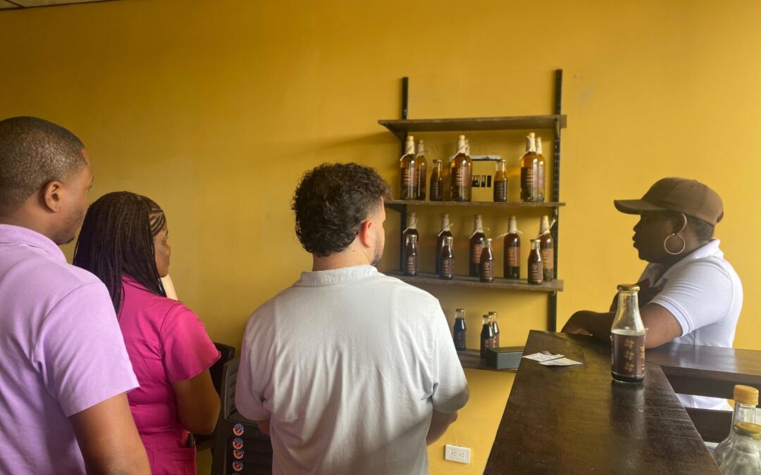 🌟 Fundación Artemisa: Recorrido por Comunidades para el Fortalecimiento Social 🤝🌍